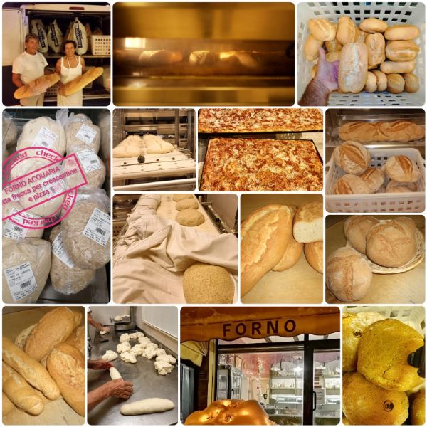 Forno di Acquaria di Silvestrini Laura & c. - Produzione di pane montanaro, con diversi tipi di pane, schiaccia e dolci.